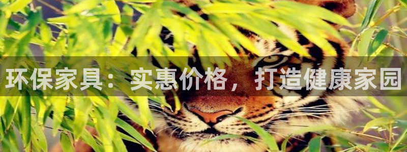 杏耀平台手机