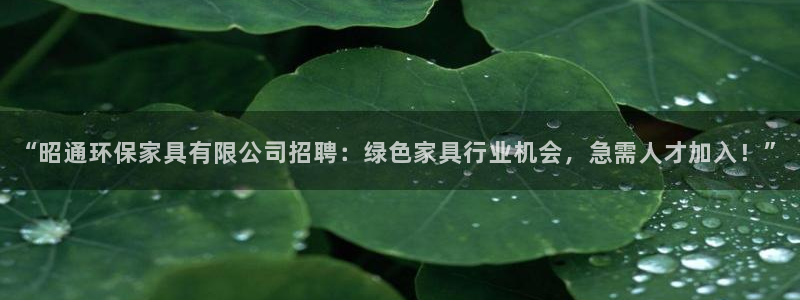杏耀app怎样申请