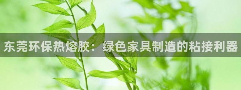 杏耀平台线路测速